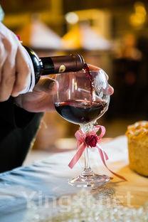 深度解读葡萄酒：红酒作为其重要分支的魅力何在？