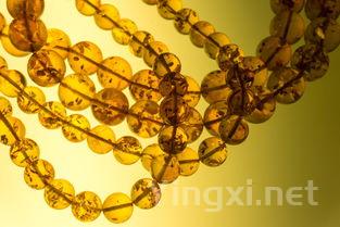 香槟酒中“白中白”与“黑中白”的奥秘