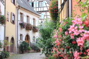 法国卢瓦尔河：葡萄酒产区的奥秘之旅