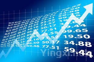 资本狂热助推白酒价格飙升，泡沫风险引关注