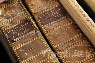 三分钟畅游重庆酒世界：历史与文化并存