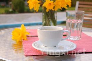 不花大钱,照样畅饮好酒:实惠粮食酒清单