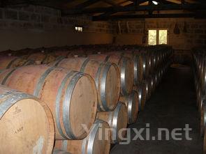 安东尼酒庄盛邀民众，探秘酒窖风味之旅