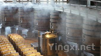 进口葡萄酒品质揭秘：年份与灌装日期的奥秘
