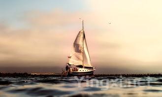 “天时地利人和”：酿酒艺术中的哲学智慧