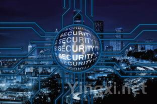 白酒产业食品安全风险管控深度剖析