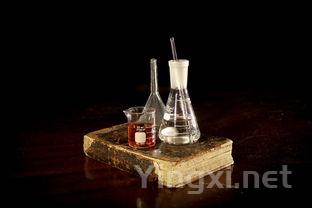 白酒酿造技艺与酒文化的传承与发展