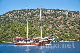 赢在起跑线的马尔堡：葡萄酒的极致之旅