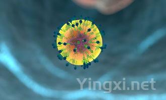 葡萄园种草背后的科学道理，你知道吗？