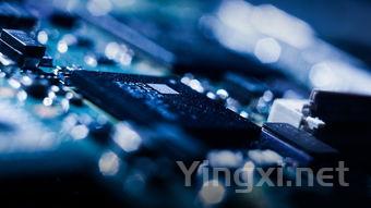 推动甘肃葡萄酒产业升级:走向强而有力的发展之路