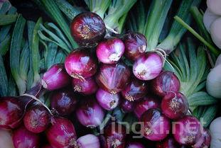 葡萄酒市场揭秘：原装进口真相如何？