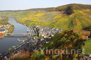 亚洲葡萄酒市场新动态：中国成德国出口最大目标