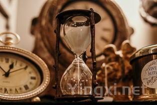 白酒鉴赏中，香气扮演着何种核心角色？