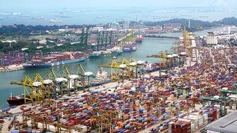 贵州白酒出口贸易的新机遇与挑战