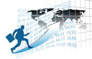 贵州白酒国际市场拓展:贸易发展新形势