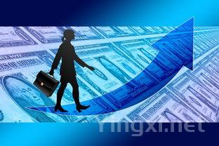 贵州白酒业崛起：政策红利助力发展