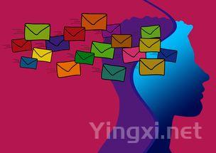 高端白酒“奢侈品化”趋势加深