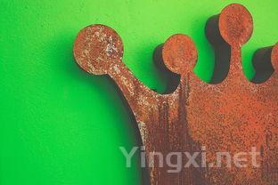 贵州白酒酿造艺术：传统智慧与现代创新交相辉映