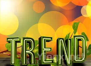 节日里的川酒魅力：市场机遇与消费新动向