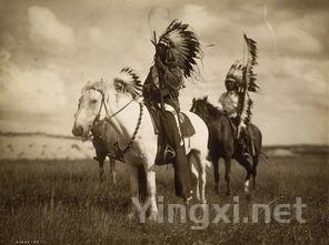 贵州白酒文化之旅：探秘酿造传奇
