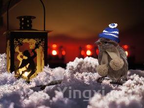 酒韵人生：品味醉意与温情