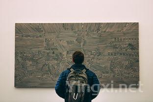 醉舞人生:酒香中品味生活之美