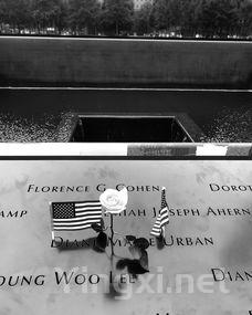 醉舞人生:酒香中品味生活之美