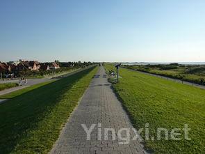 区域建设之白酒的可持续发展之路