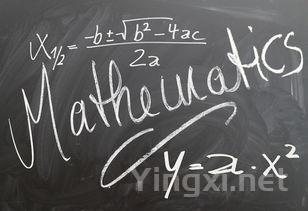 教你4招判断陈年白酒价值