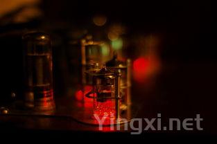 除了茅台、五粮液,中国还有很多高端白酒,品质不弱于它俩