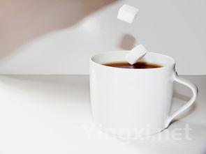 葡萄酒话题攻略：与外国人交流更自如