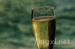 起泡酒与雪碧的泡泡:有何异同?