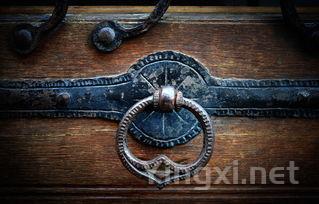 解锁美酒新境界:开瓶器类型与用法详解