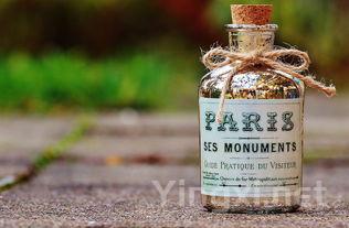 令人眼前一亮的葡萄酒瓶造型精选