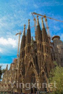 南非之旅：白葡萄酒的异域风情探索