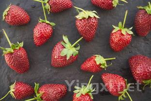 葡萄酒甜度从何而来？甜渣党告诉你！