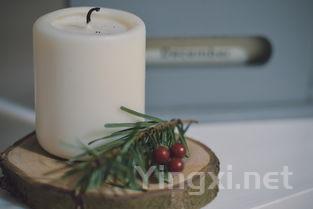 探索葡萄酒中的香草风情：味觉之旅