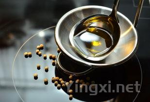 享受干邑美酒，酒杯挑选指南