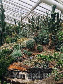 全球六大葡萄品种：产地探秘与风味解析