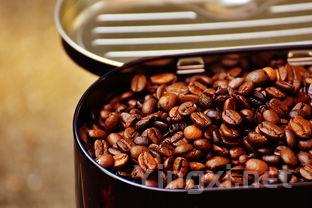 葡萄酒中的酵母风味，你尝得出来吗？