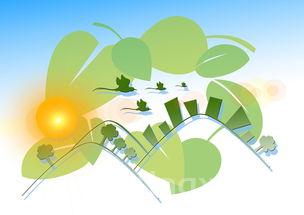 葡萄生长之路：可能遭遇的种种风险与挑战