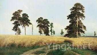 盲品大师必备：牢记这13大白葡萄品种！